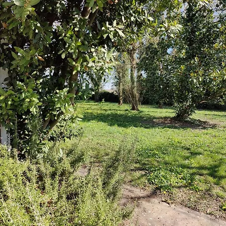 Ca Degli Aironi * Cittanova (Veneto)