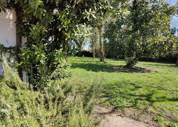 Ca Degli Aironi * Cittanova (Veneto)